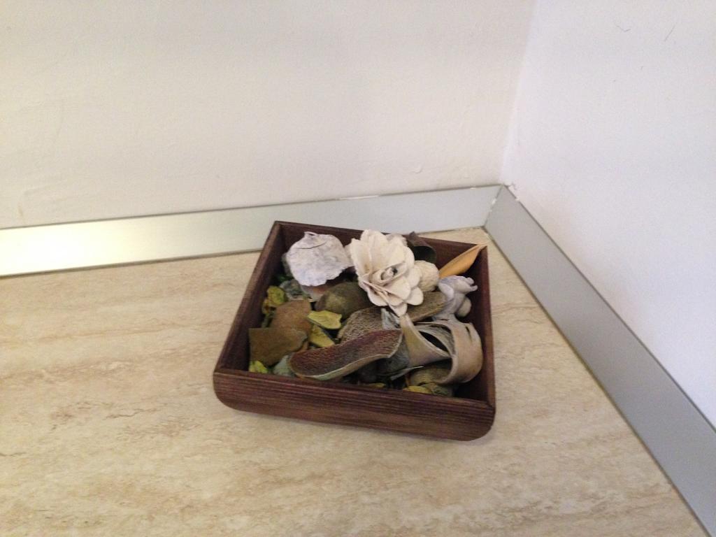 Studio Esperanza דוברובניק מראה חיצוני תמונה